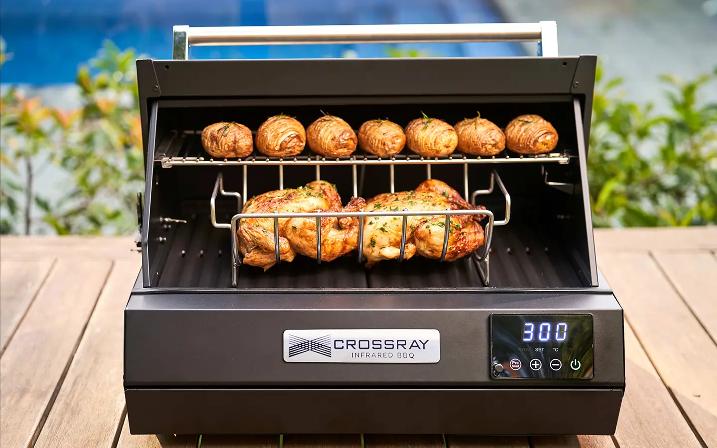 eXtreme electric BBQ rotisserie chicken eXtreme electric BBQ rotisserie chicken