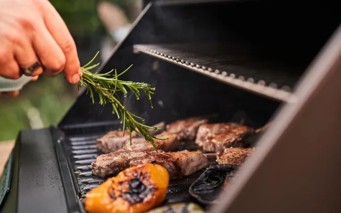 Electric BBQ basting
