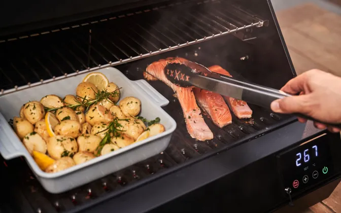 Electric BBQ salmon