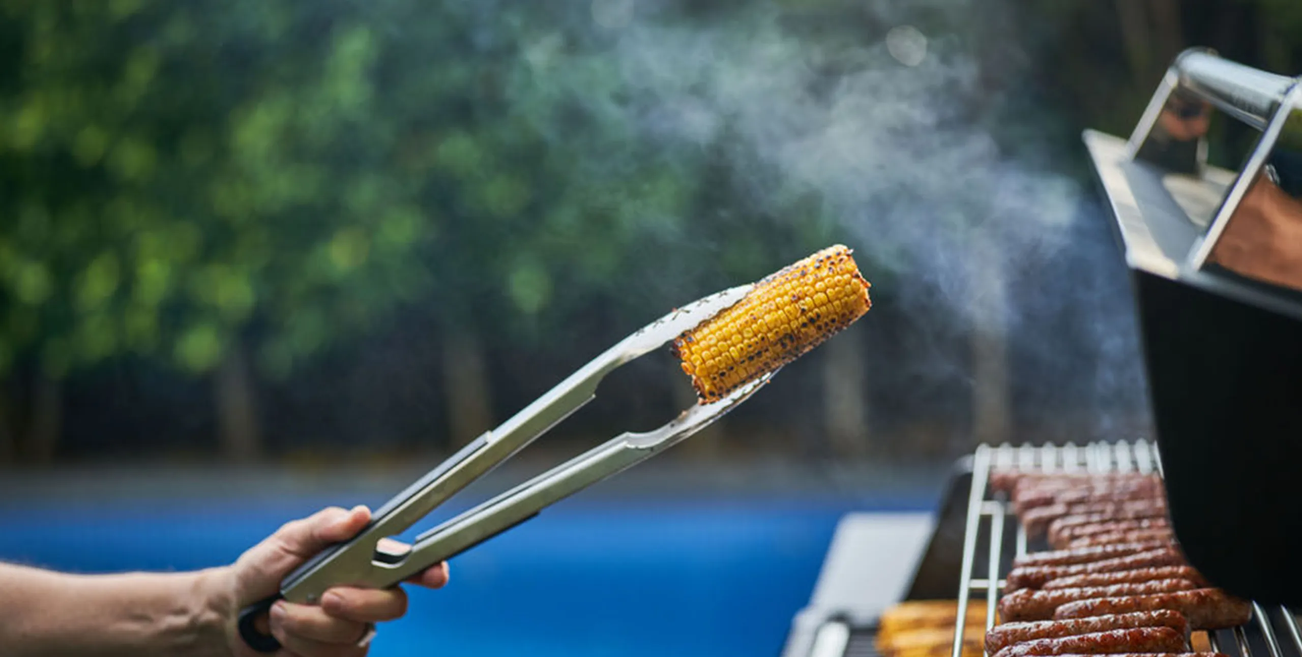 Crossray BBQ cooking